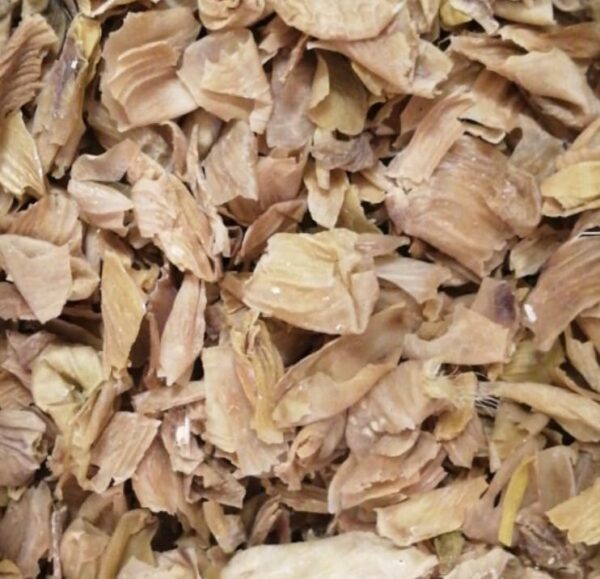 پوست سنگدان مرغ(100گرمی)