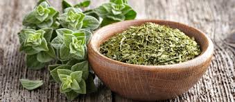 اورگانو( پونه کوهی)اعلا 100گرمی
