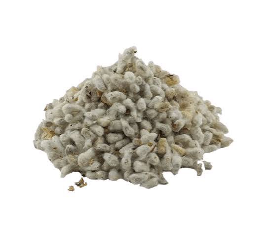 پنبه دانه 100 گرمی